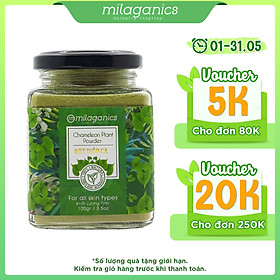 Bột Diếp Cá Đắp Mặt Nạ Hỗ Trợ Trị Mụn, Mờ Vết Thâm, Se Khít Lỗ Chân Lông MILAGANICS 100g