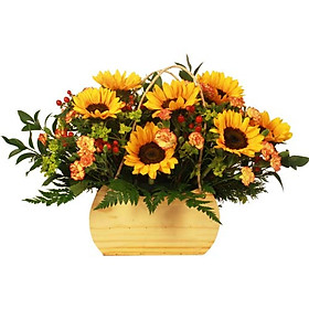 Hộp hoa tươi - Ánh Sáng Bất Tận 3940