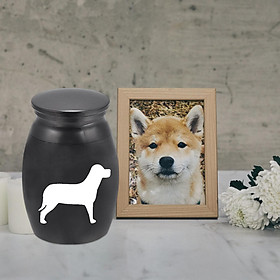 Pet Cremation Urn Memorial Keepsake Box Ash Urns for Dogs Commemorate Metal Supplies Lightweight Funeral Easily to Carry Casket Container