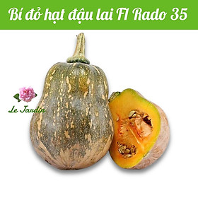 Hạt giống bí đỏ hạt đậu Rado 35 gói 1gr - Dễ trồng sai trái
