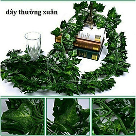 Mua Dây leo giả: Lá nho  trầu bà  thường xuân  rau má  dưa hấu 2.4m - Hoa trang trí tường  trần nhà  sảnh