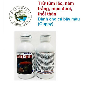 Anti-bio Nuphar Chuyên Xử Lý Túm Và Lắc cho Cá bảy màu (Guppy) cá cảnh