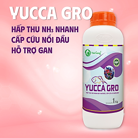 YUCCA GRO - Hấp thụ nhanh khí độc NH3, tránh hiện tượng cá nổi đầu