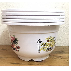 Combo 5 Chậu Nhựa BỐN MÙA Hình Tròn Màu Trắng Mã A250, KT 23x21