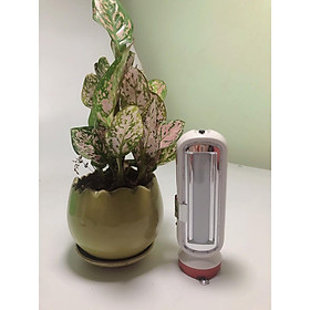 Mua Đèn pin sạc LED xách tay đa năng 2IN1 Loại to