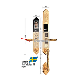Mua Khóa Đại Sảnh Demax SL988.24K.BRASS - hàng Chính Hãng