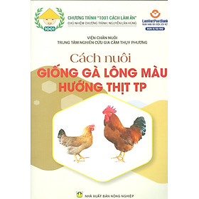 Hình ảnh Cách Nuôi Giống Gà Lông Màu Hướng Thịt TP