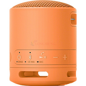 Mua Loa Bluetooth Sony SRS-XB100 - Hàng chính hãng