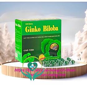 Hình ảnh Viên uống Ginkgo Biloba 120mg Vinapharco , hộp 100v, tăng cường tuần hoàn não