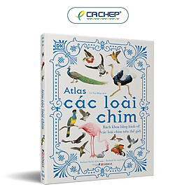 Hình ảnh Atlas các loài chim