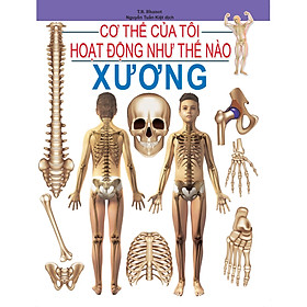Cơ Thể Của Tôi Hoạt Động Như Thế Nào - Xương - 08