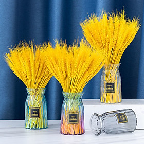 Mua Bó Bông Lúa Trang Trí (100g) DRU- Hàng Chính Hãng