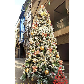 Mua Cây Thông Noel Phủ Tuyết Cao Cấp (Nhiều Kích Thước) Cây Thông Phủ Tuyết Hàng Đẹp