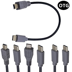 USB 3.1 Type C Male to Type C Mini Micro USB Male Plug Sạc dữ liệu OTG Male to Male Cáp kết nối mở rộng Dây 25cm/1m Màu sắc: C-Mini usb