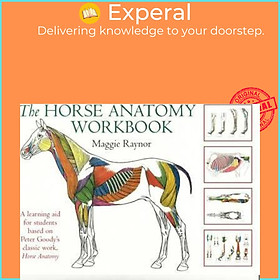 Sách - Horse Anatomy Workbook by Maggie Raynor (UK edition, paperback)