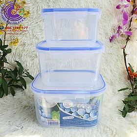 Bộ 3 Hộp Thực Phẩm Hộp Trữ Đông, Nhựa Nguyên Sinh An Toàn Việt Nhật Plastic - Hàng Việt Nam Cao Cấp