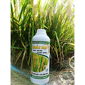 Mua CHẮC HẠT CHUYÊN LÚA CHAI 1 LÍT - Hạt to  bông đẹp  chắc - Dưỡng lá  cứng cây  hạn chế đổ ngã.