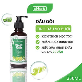 Dầu Gội Bưởi - Ngăn Ngừa Rụng Tóc, Kích Thích Mọc Tóc Milaganics (250ml/Chai)