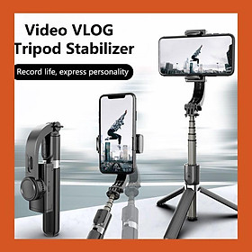Mua CTY MT Gậy chống Rung Gimbal Stabilizer L08  Có 3 chân đỡ  Tặng kèm nút bấm BLT hàng cao cấp(BH 12T)