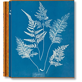 Hình ảnh sách Artbook - Sách Tiếng Anh - Anna Atkins: Cyanotypes