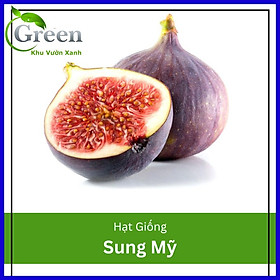 Hạt Giống Cây Sung Mỹ (Sung Ngọt) (10H)