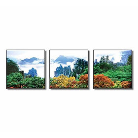 BỘ 3 TRANH Q6D11-SH00106