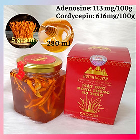 Mua Hộp 280ml - Mật ong rừng ngâm đông trùng hạ thảo sấy khô cao cấp