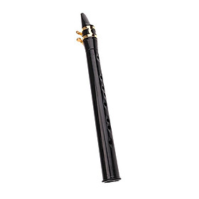 Exquisite Plastic Pocket Saxophone Mini Sax Woodwind Instrument Black