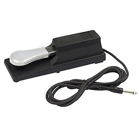 Mua Pedal Đa Năng Cho Đàn Organ Keyboard Medeli P80A