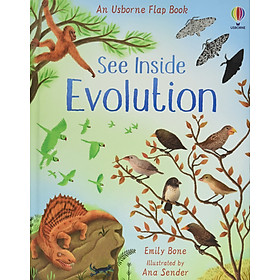 Sách - Anh: See Inside Evolution