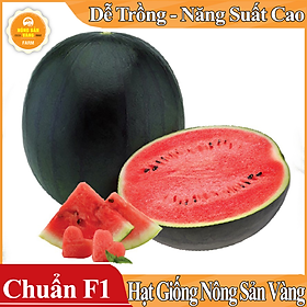 Hạt giống Dưa Hấu Hắc Mỹ Nhân ( Gói 10 Hạt ) - Nông Sản Vàng