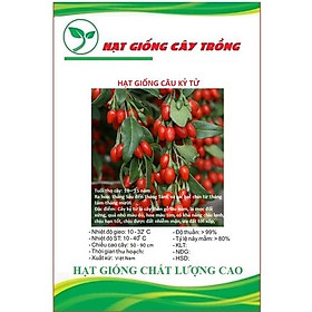 Hạt Giống Quả Câu Kỷ Tử - GojiBerry CT368 - Gói 10 hạt