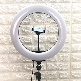 ĐÈN LED LIVESTREAM CHỤP HÌNH MAKEUP STUDIO 34CM SIÊU SÁNG PHIÊN BẢN MỚI NHẤT 2019