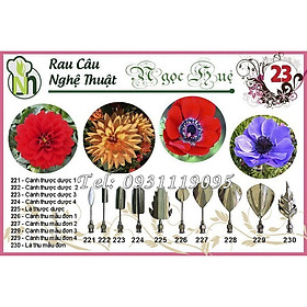 Mua Bộ 10 dụng cụ làm rau câu 3D – Bộ số 23 - Tặng kèm kim nhụy – Mã số 1622