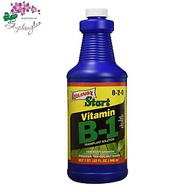 Phân bón Vitamin B1 Chai 946ml - Liquinox USA rất tốt cho Lan