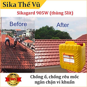 Mua Chống ố  rêu mốc thẩm thấu không màu - Sikagard 905W (thùng 5lít)