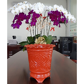 Chậu Nhựa Trái Đào Giả Sứ Cao Cấp (41x27.8xH42.5) Thiết Kế Tinh Xảo, Bền Đẹp Thích Hợp Trồng Cây Cảnh, Cây Ăn Quả, Chất Liệu Nhựa ABS Cao Cấp - Hàng VNXK Châu ÂU