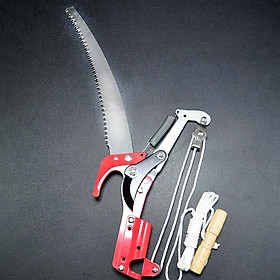 Mua Kéo cắt cưa cành trên cao thép SK5 Nhật
