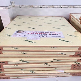 Mua Nệm thắng lợi đủ kích thước1m đến 2m2