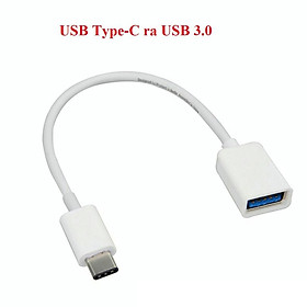 Cáp chuyển USB Type-C sang USB 3.0