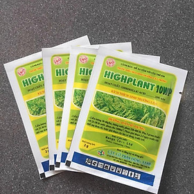 Mua Thuốc Kích mầm  Kích rễ  Kích thích sinh trưởng Highplant