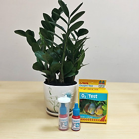 Test O2 Sera - Đức - Kiểm tra nồng độ Oxy (O2) trong môi trường nước