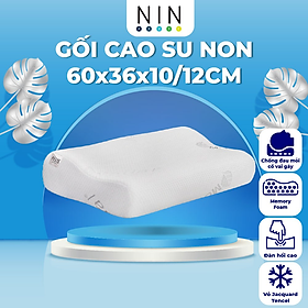 Mua Ruột gối nằm cao su non hỗ trợ nâng đầu NIN House 60x36x10/12cm