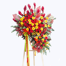 Mua Luôn Luôn Phát Triển – 220