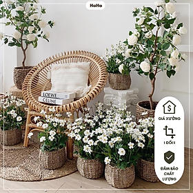 Mua Giỏ cói trồng cây Chum cói cắm hoa decor cây cảnh Đường Kính 20cm GCD03