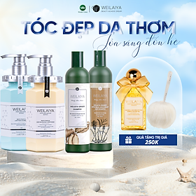 Bộ dầu gội đầu, dầu xả tóc Weilaiya chiết xuất nấm Truffle và 2 chai dầu gội thảo dược gừng Weilaiya