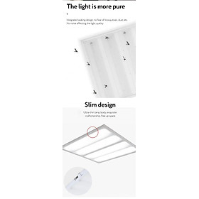 info-icon