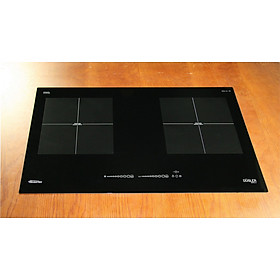 Mua BẾP TỪ DUSLER DLS 999