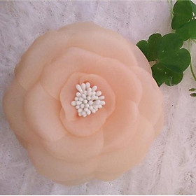 Phụ kiện túi xách 01