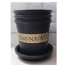 Combo 3 Chậu MONROVIA CH Garden 2Gal + 3 Khay Lót Đế Chậu 26 - Màu Đen